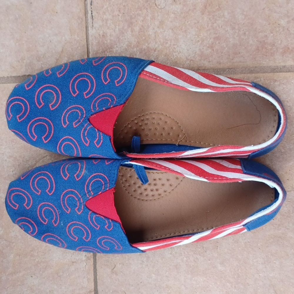 Chicago Cubs Shoes ⚾️ 🧢
